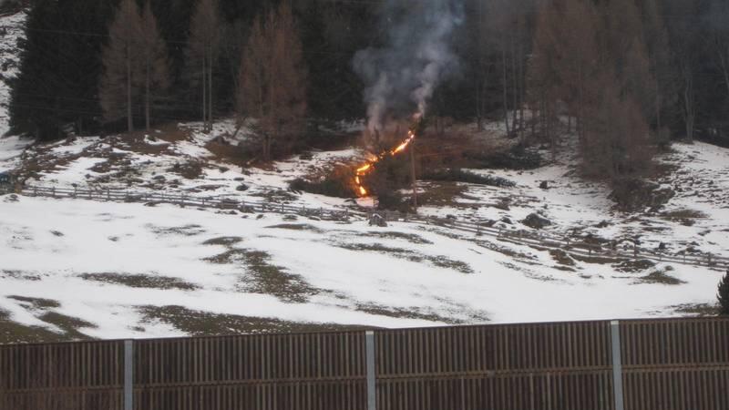 Der Baum brannte vollständig ab.
