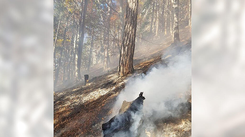 Flughelfer aus Salzburg bei Waldbrand in NÖ