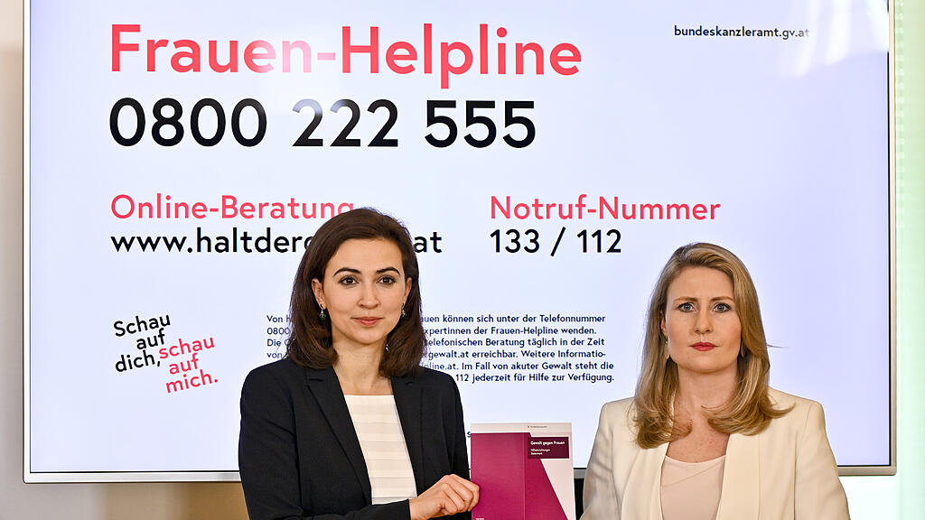 Raab, Zadic, Häusliche Gewalt