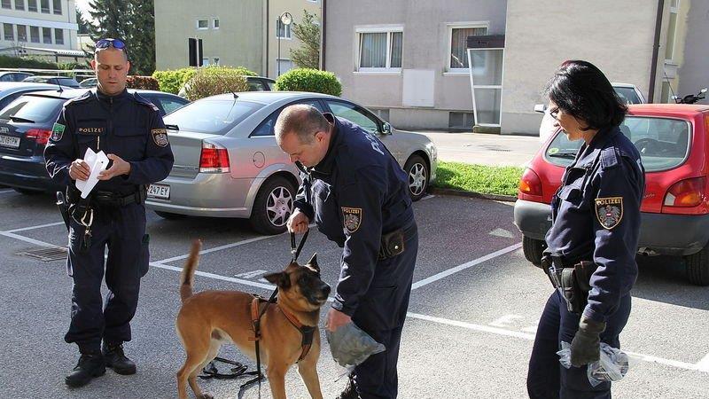 Großfahndung nach Überfall in Hallein I