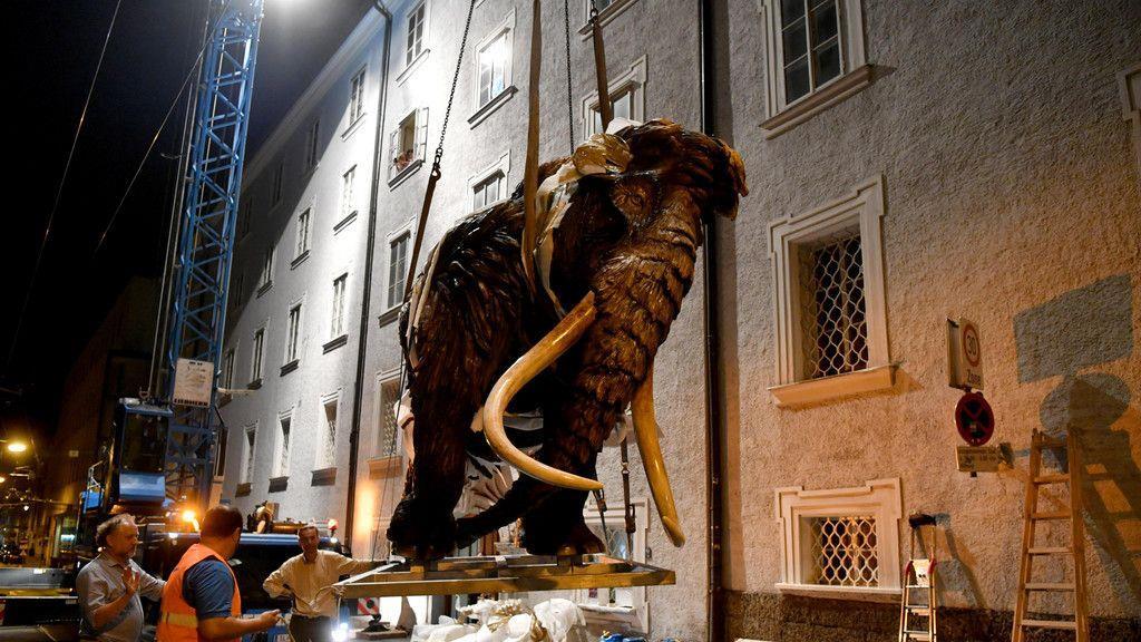 Mammut schwebt über Salzburg I