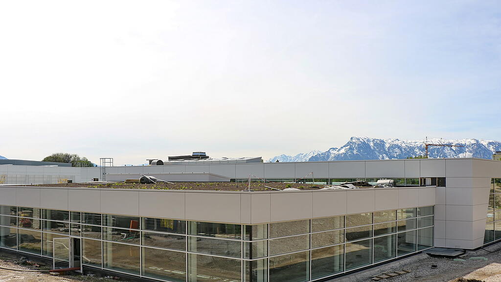 Badylon, Freilassing