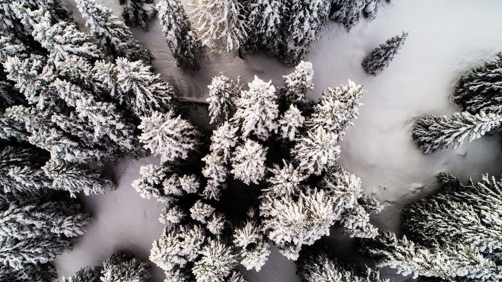 Eure schönsten Winterbilder I