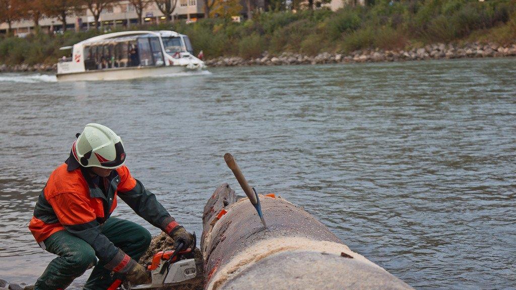 Berufsfeuerwehr barg Riesen-Baumstamm