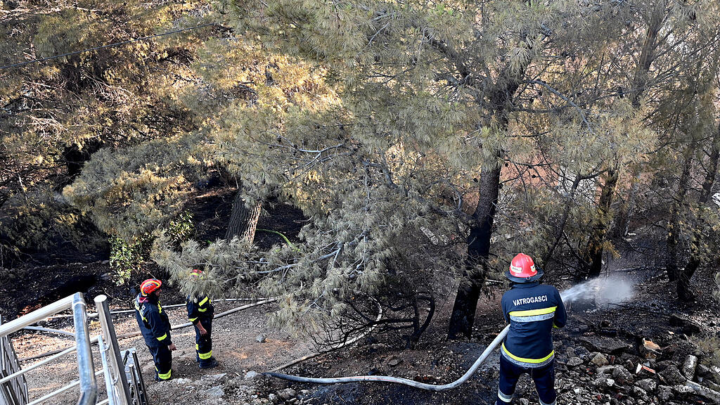Waldbrand in Krotaien