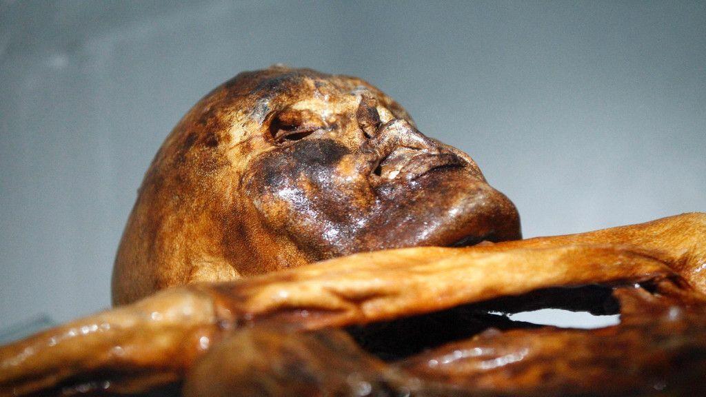 Die Mumie von Ötzi