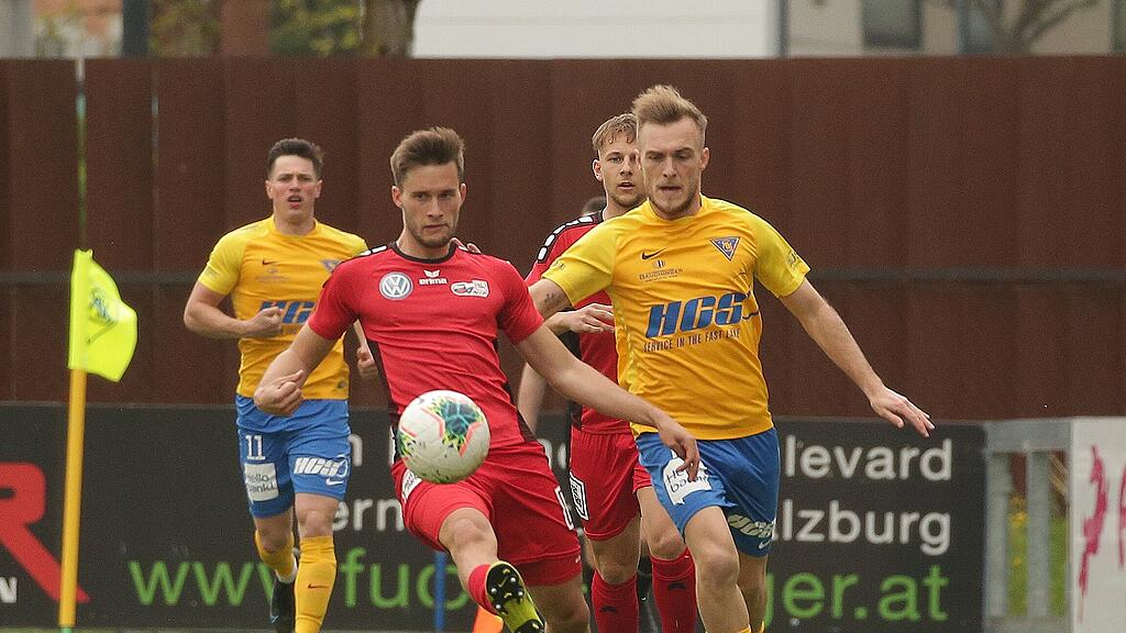 David Hutter, Anif