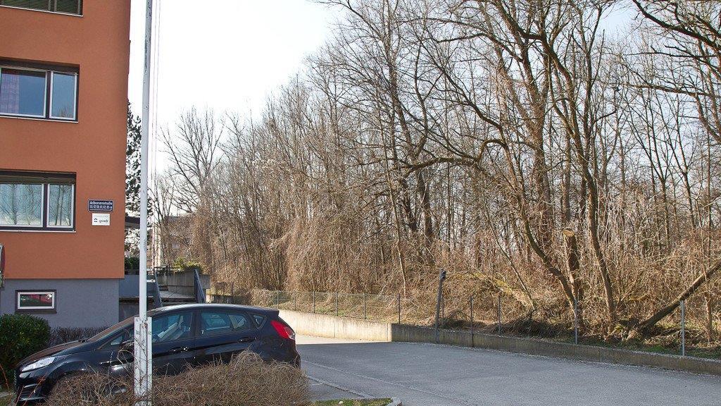 Neue Bettlerlager in Lehen und Liefering entdeckt