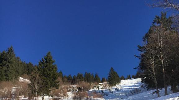 Schneebrett am Schlenken
