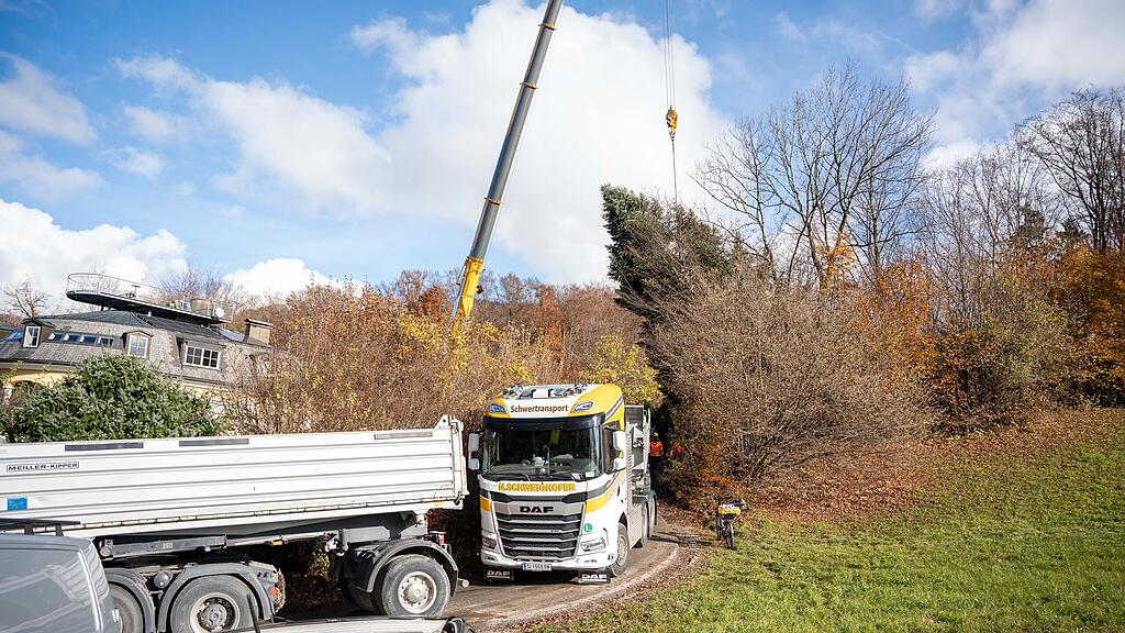 Christbaumernte in St. Jakob am Thurn