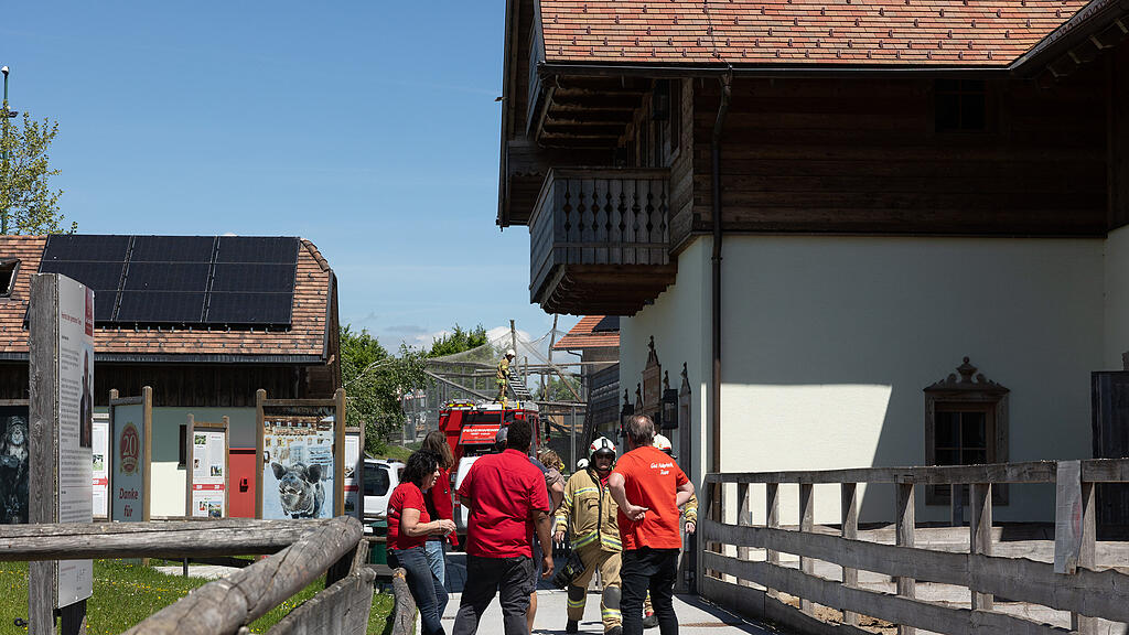 Brand Gut Aiderbichl II