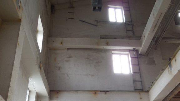 Rauchmühle: Konzept vorgestellt