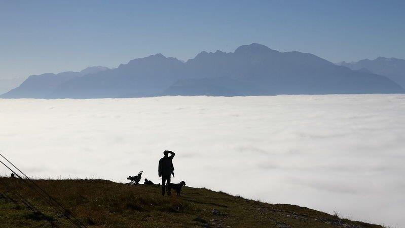 Mehr Bilder vom Gaisberg