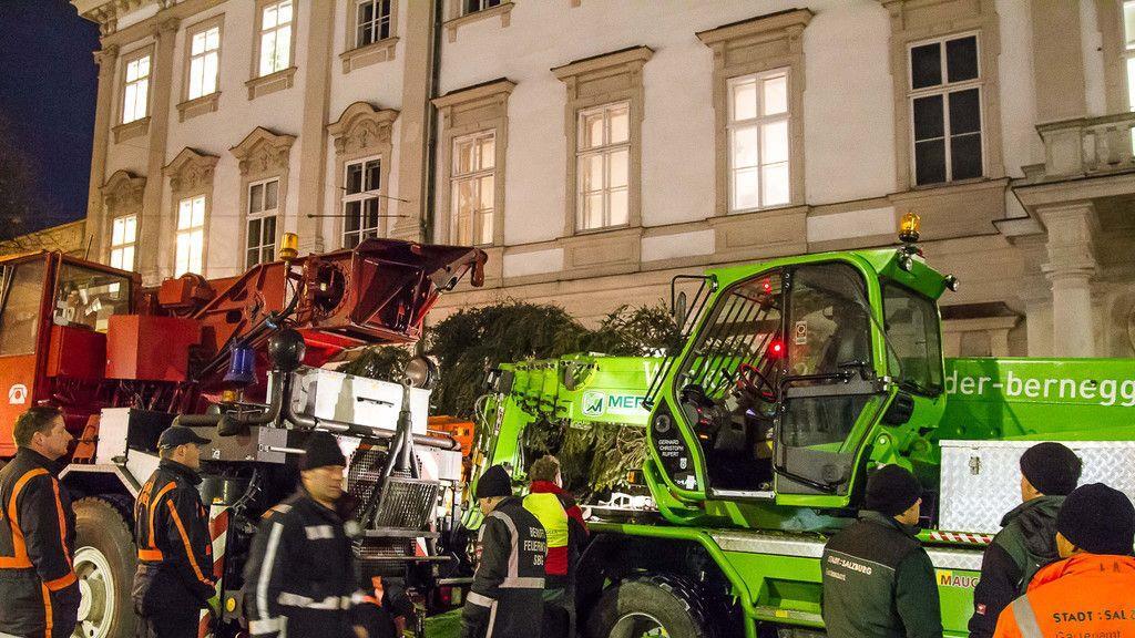 Christbaumaufstellen vor dem Schloss Mirabell
