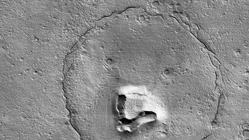 Bärengesicht auf Mars