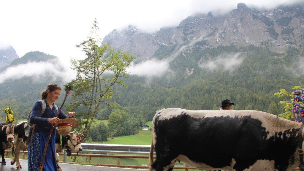Bilder vom Almabtrieb