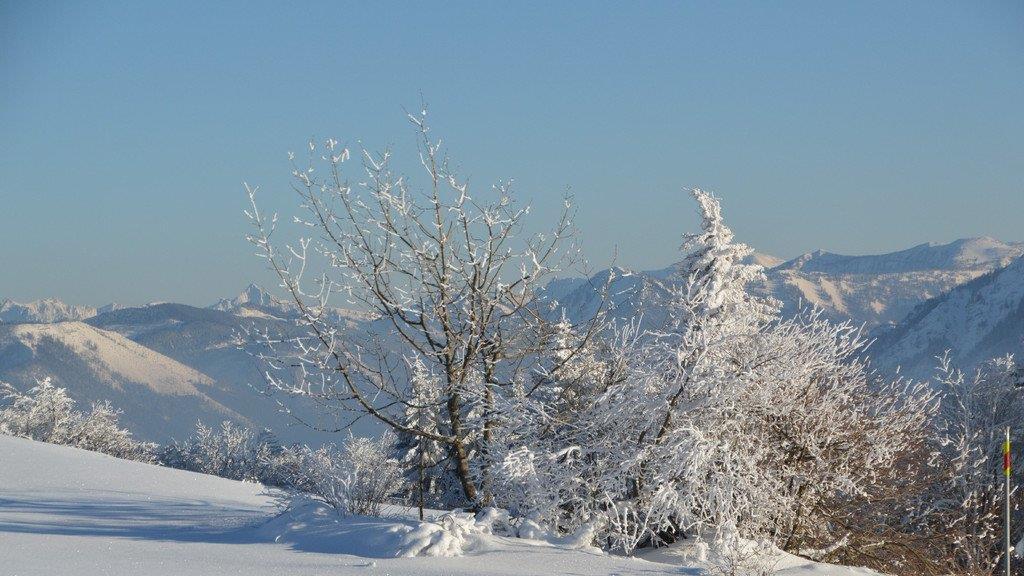 Winterspaziergang am Gaisberg