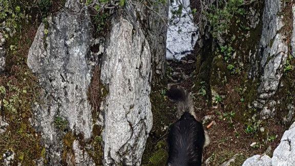 Suche nach Oberösterreicher am Untersberg