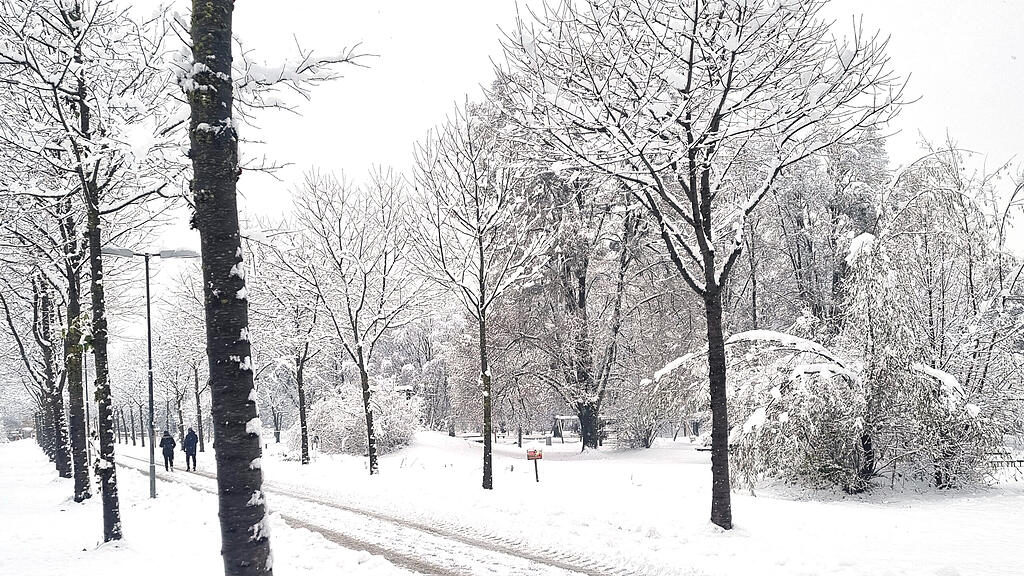 symb_winter_schnee_eis