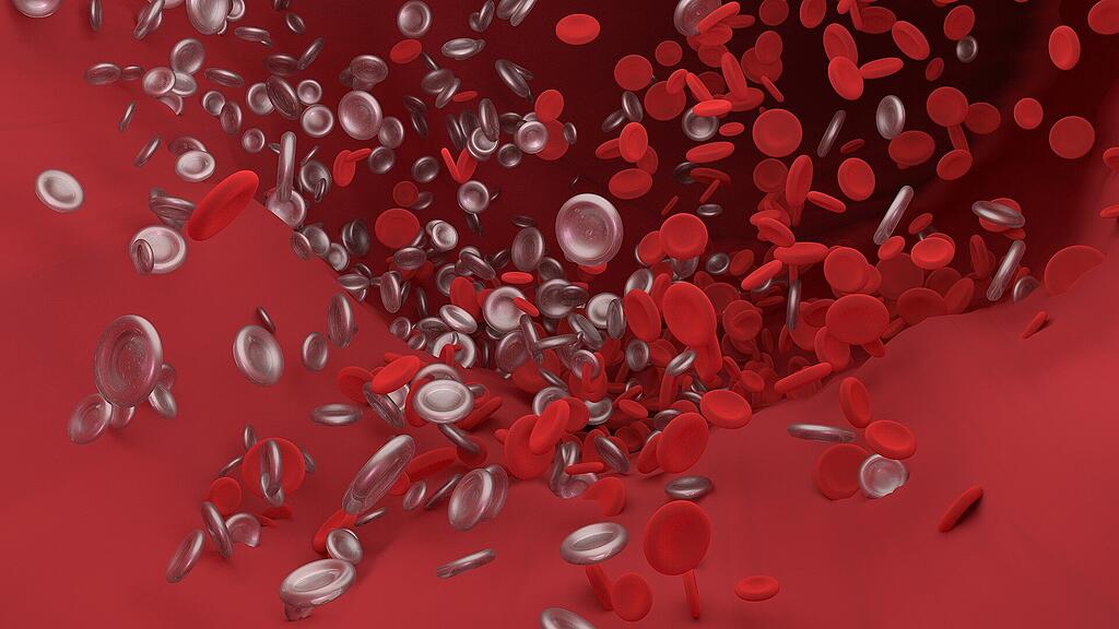Symb_Thrombose Symb_Blut Symb_Venen Symb_Arterien