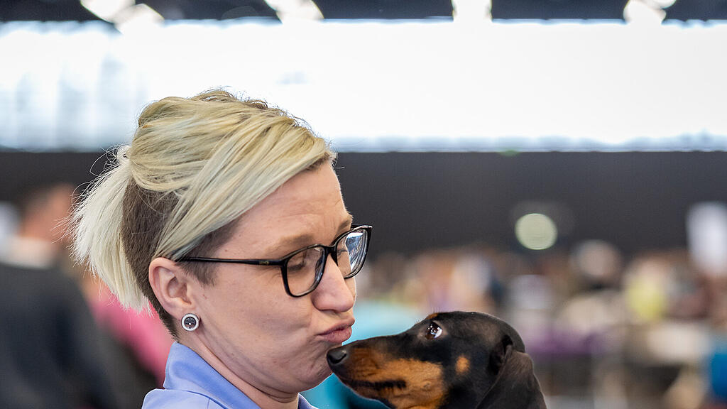 Internationale Hundeausstellung Salzburg 2022