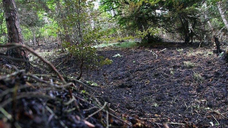 Waldbrand unter Kontrolle