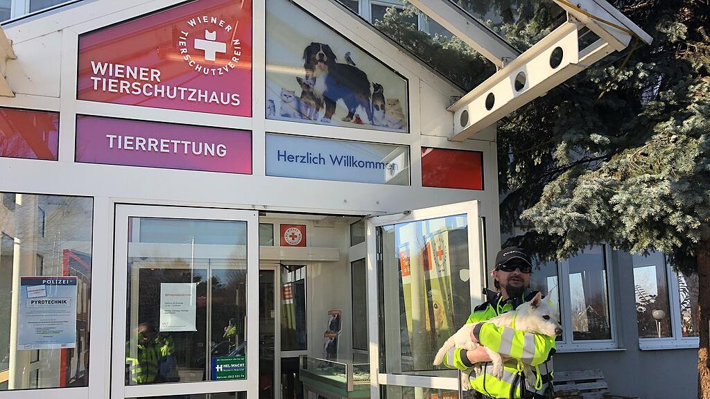 HANDOUT  NIEDERÖSTERREICH ASFINAG-MITARBEITER RETTETEN HUND VON A21 =.jpg