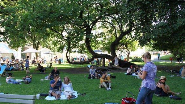Picknick im Park