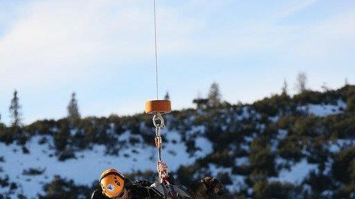 Superhunde im Einsatz