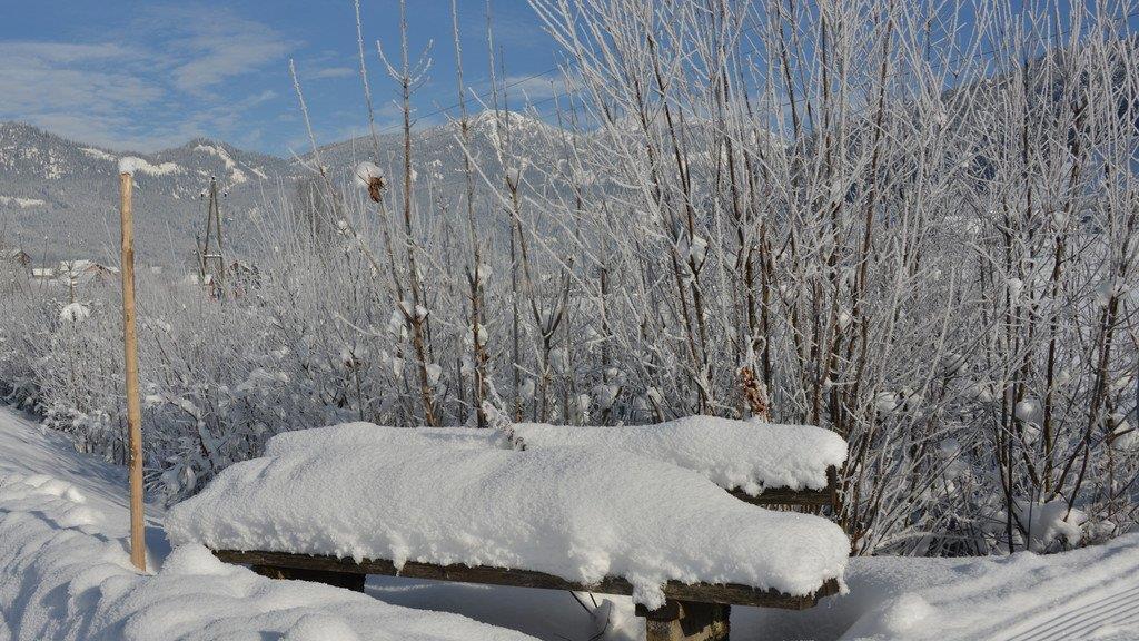 Salzburgs schönste Winterlandschaften III