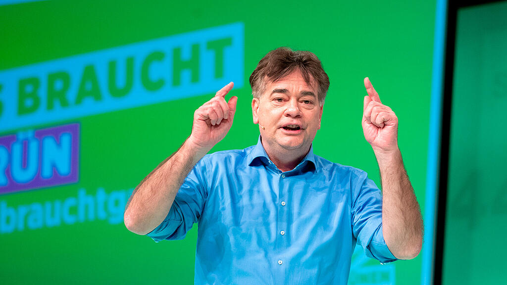 Werner Kogler