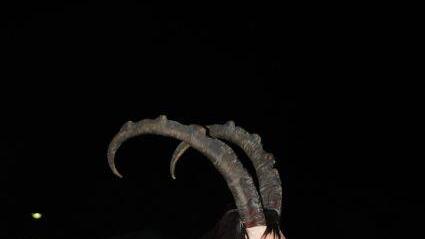 Krampusrummel in St. Martin
