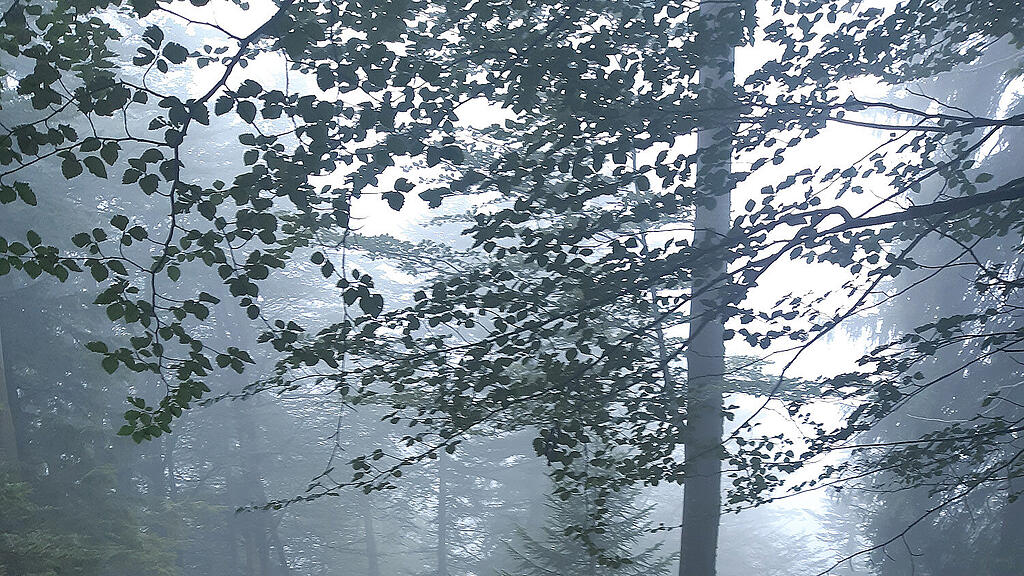 Suche nach Kleinflugzeug in Schneizlreuth