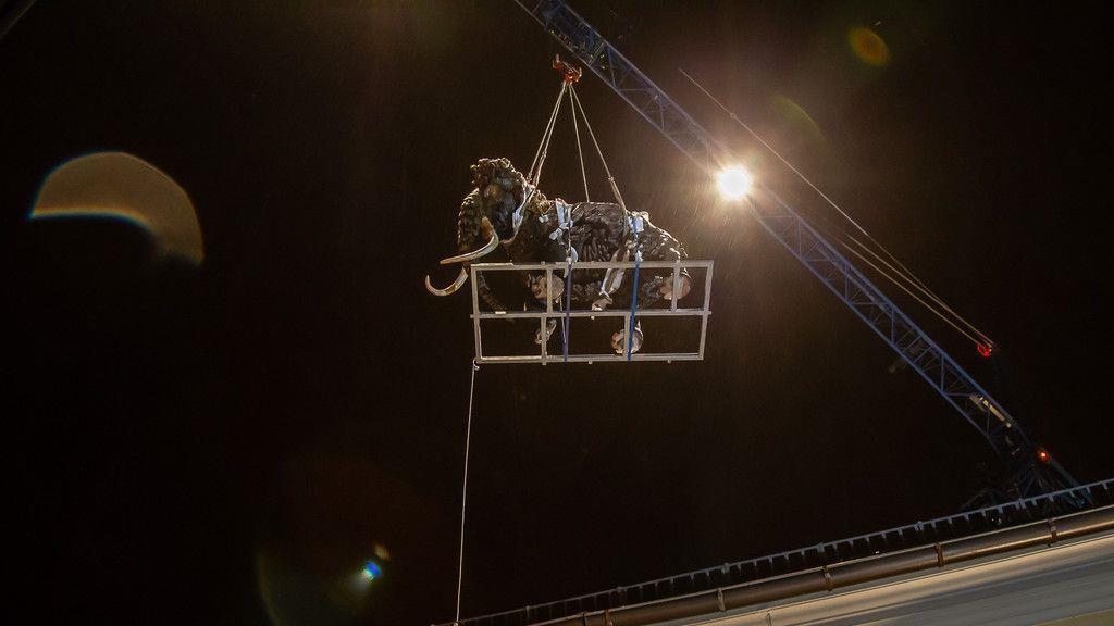 Mammut schwebt über Salzburg II