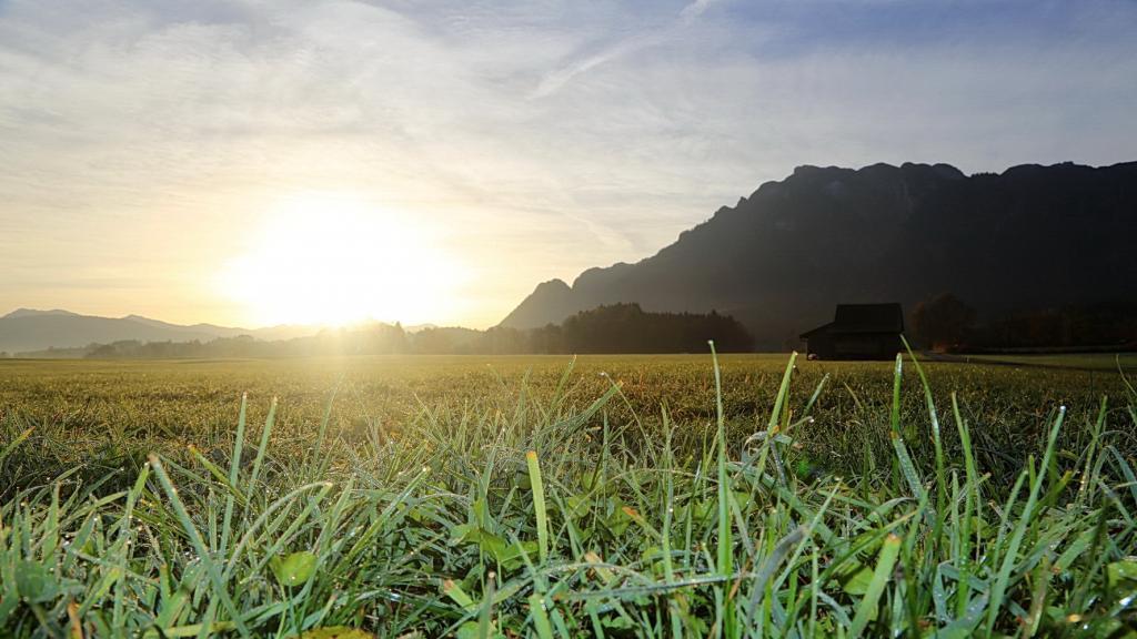 Spaziergang durch den Flachgau