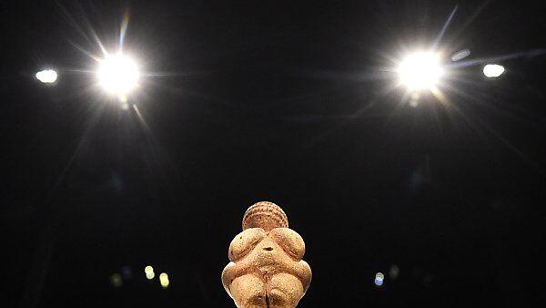 Die Venus von Willendorf im neuen Venuskabinett