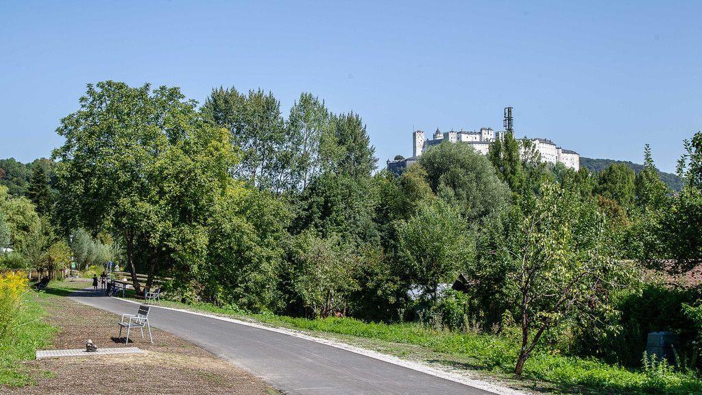 Neuer Rad- und Gehweg am Almkanal