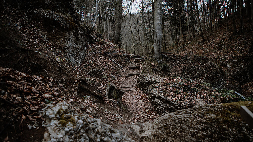 Nachmittagsspaziergang Hexenloch