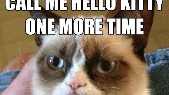 Tard, the grumpy cat: Die besten Memes