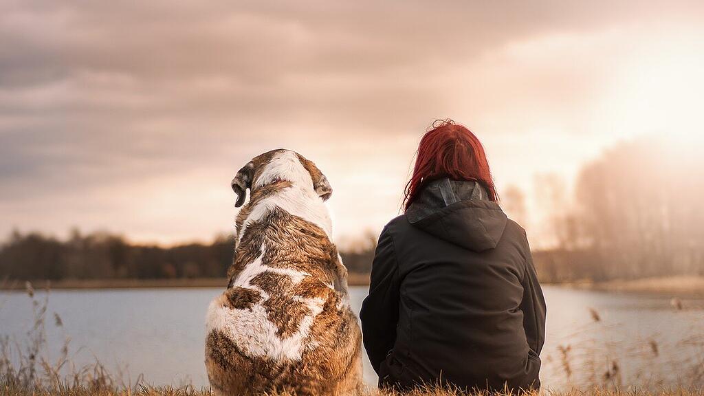 symb_hund symb_hunde symb_haustier