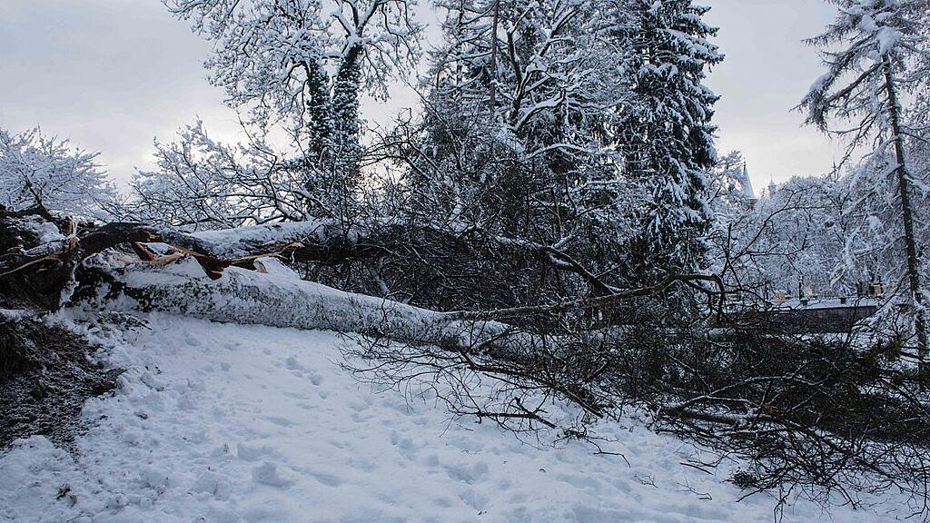 im_kurgarten_004763061.jpg
