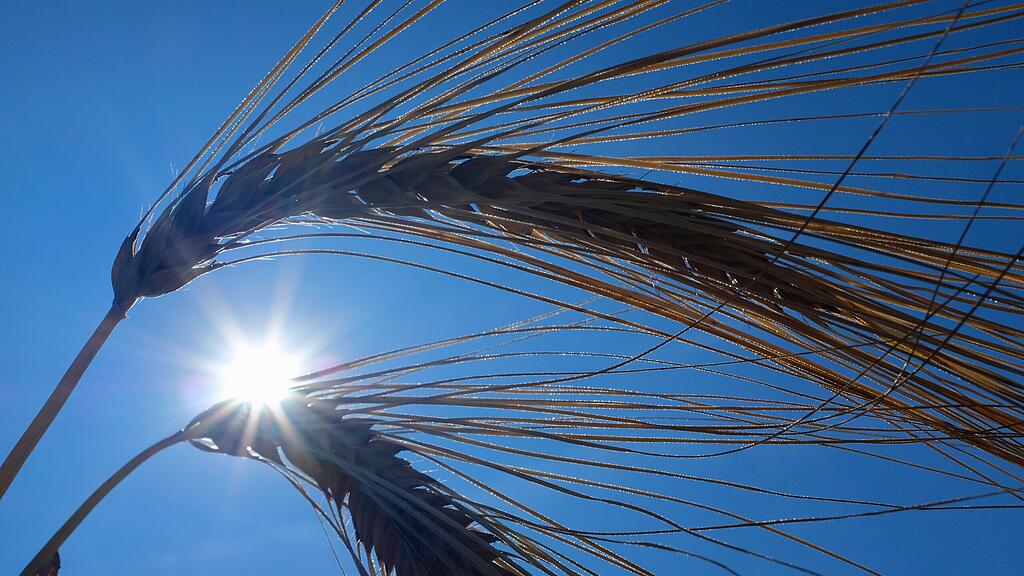 symb_wetter symb_sonne
