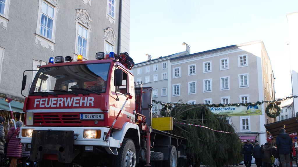 Neuer Baum steht