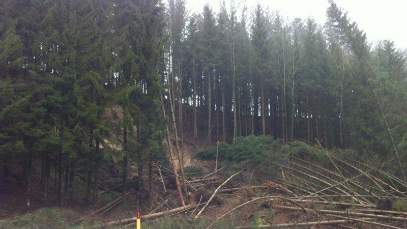 Mehr Bilder vom Hangrutsch