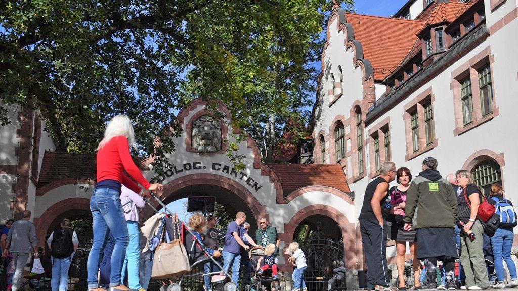 Löwen im Zoo Leipzig ausgebrochen