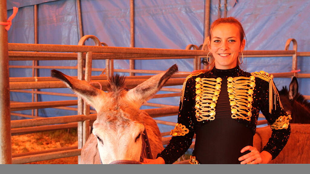 Circus King und Circus William in Salzburg