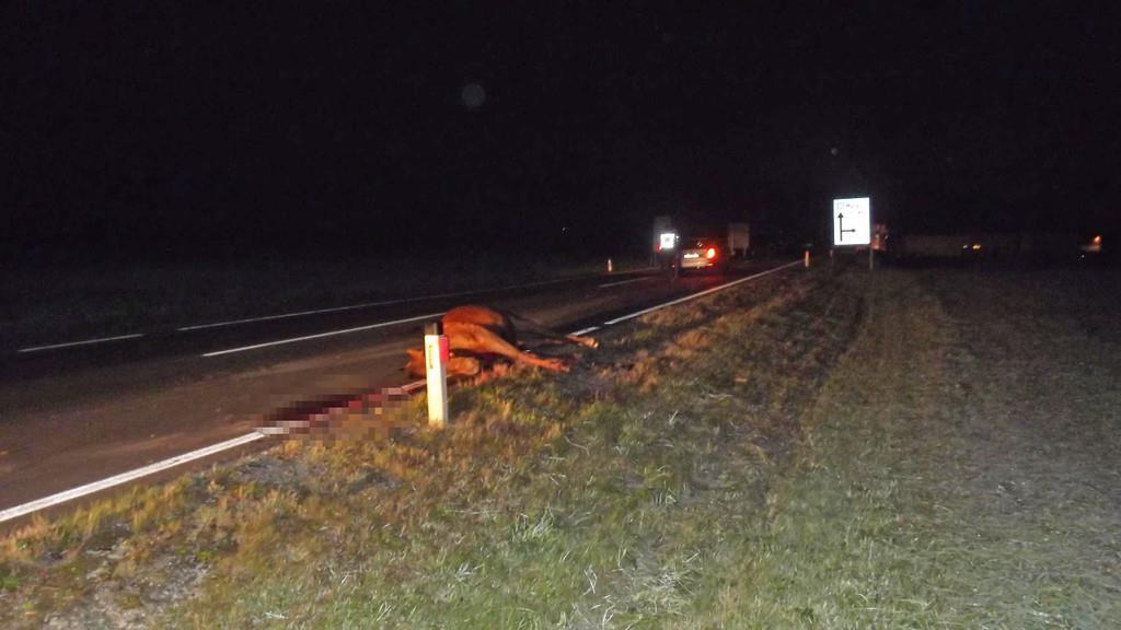 Zwei Pferde bei Unfall getötet