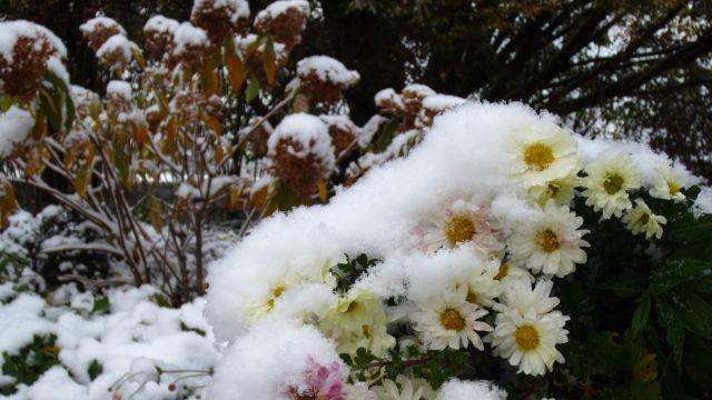So schön kann der Winter sein