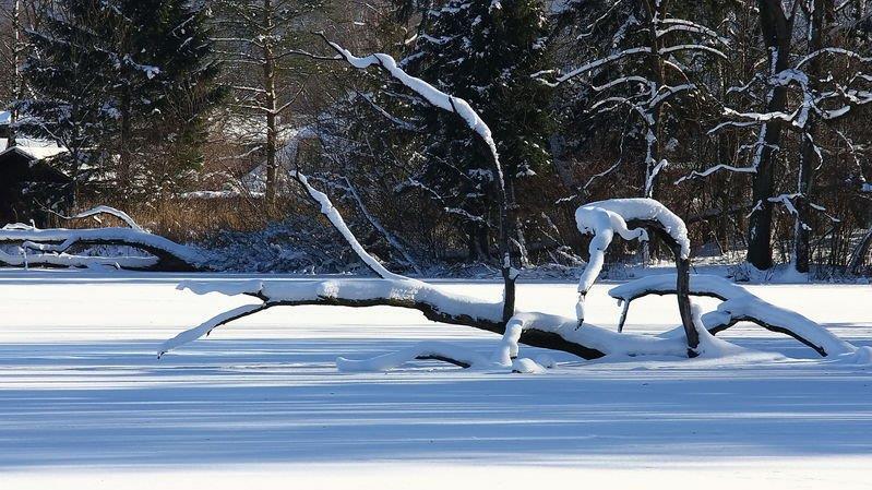 Eisfläche am Lepi-Weiher