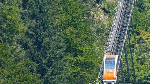 Waldbrand in Hallstatt